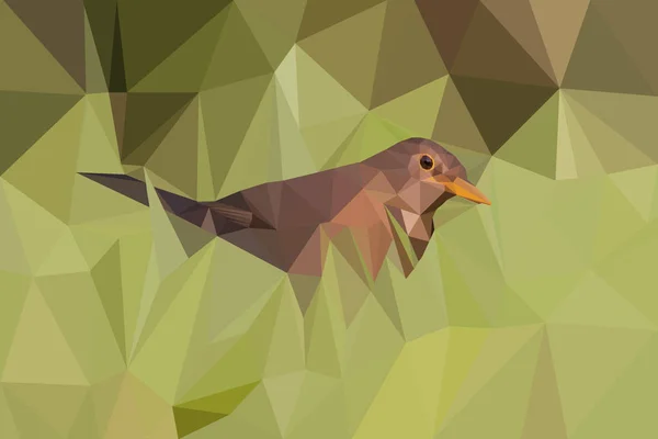 Yırtıcı bir yeşil çim çayır çekici bir juvenil kadın ortak karatavuk (Turdus merula). Poligonal sanat tarzı, yeşil çim detaylı kahverengi kuş kadın kara kuş. Dijital illüstrasyon, vektör.