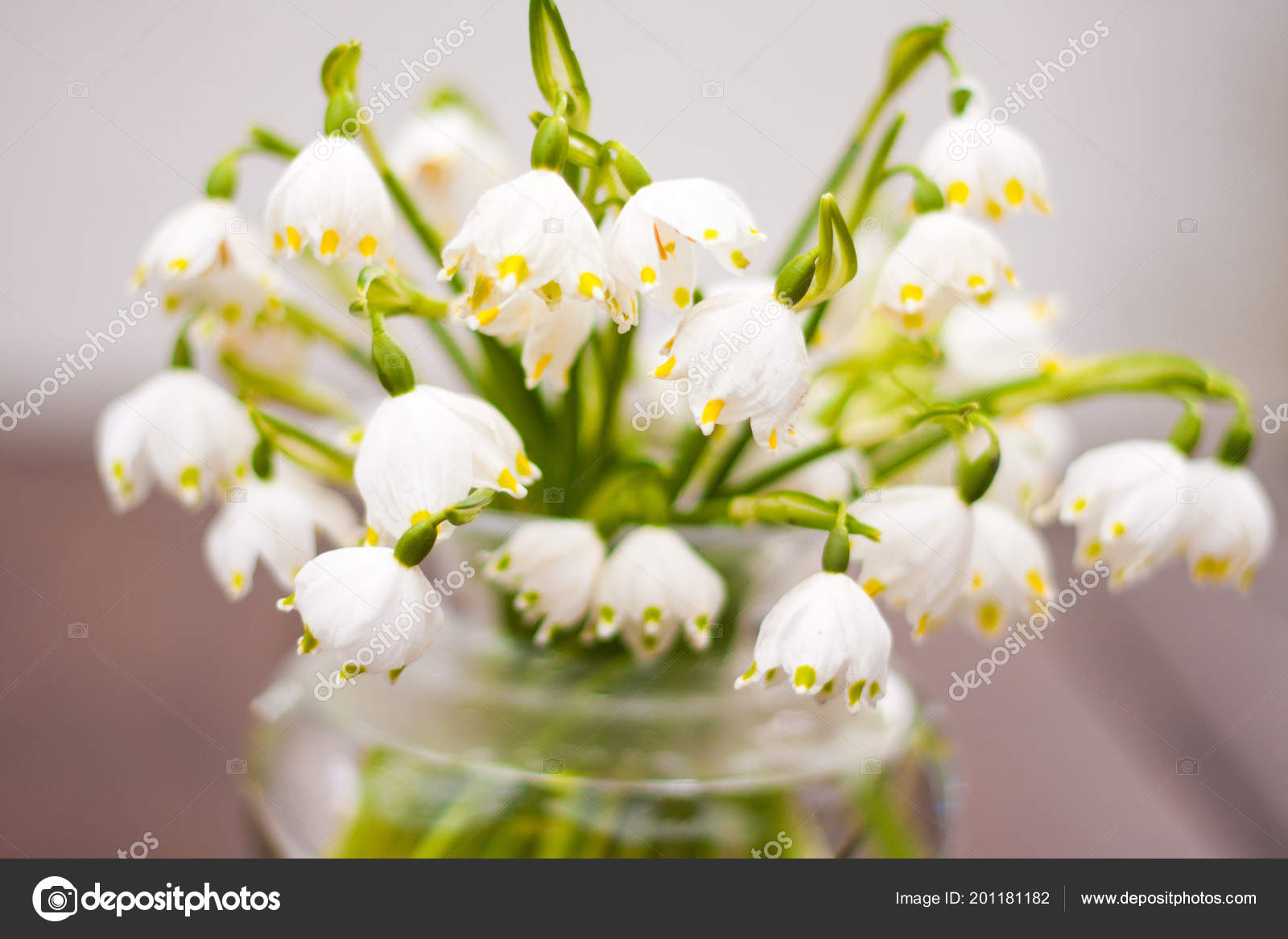 Bouquet Beautiful Spring Snowflakes Clear Bubble Bowl Glass