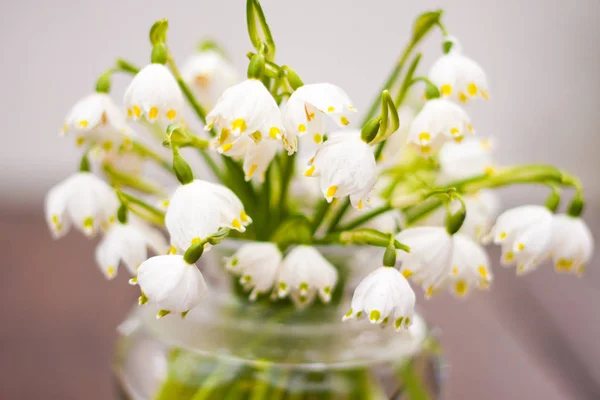 Açık yuvarlak kabarcık kase cam vazo içinde sunulan güzel bahar kar taneleri buket.
