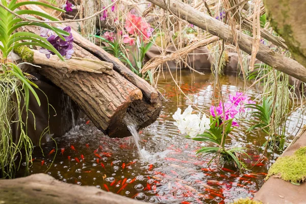 Farklı tür orkide bir tropik bahçe cenneti. Kırmızı koi balık bloom, yosun ve kuru ağaç egzotik bitkiler tarafından çevrili bir havuzda.