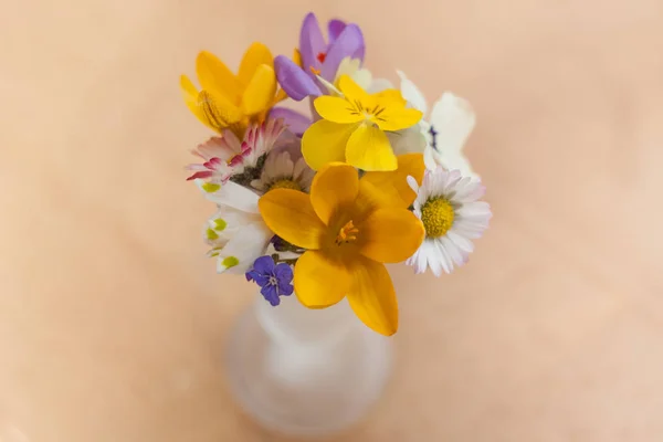 Bahar habercilere minyatür buket. Sarı, mor ve mor crous veya safran çiçeği, bahar kar tanesi, papatyalar, hercai menekşe, primrose ve blue-eyed-Mary bir ahşap yüzeyde küçük cam vazoda.