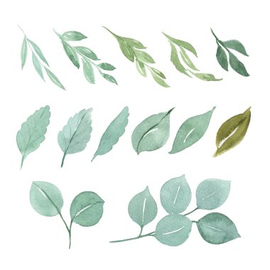 Kenarlıklı metin çelenk çerçeve, beyaz arka plan üzerinde izole yemyeşil çiçek aquarelle suluboya çiçek el boyalı. Kart tasarımı çiçek dekorasyonu.