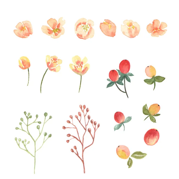 Florale Und Blätter Aquarellelemente Setzen Handbemalte Üppige Blumen Illustration Der — Stockfoto