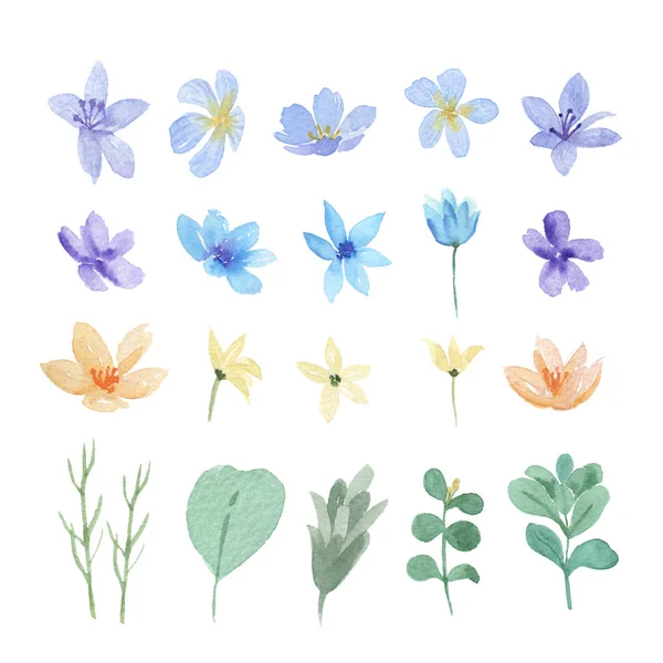 Florale Und Blätter Aquarellelemente Setzen Handbemalte Üppige Blumen Illustration Von — Stockfoto