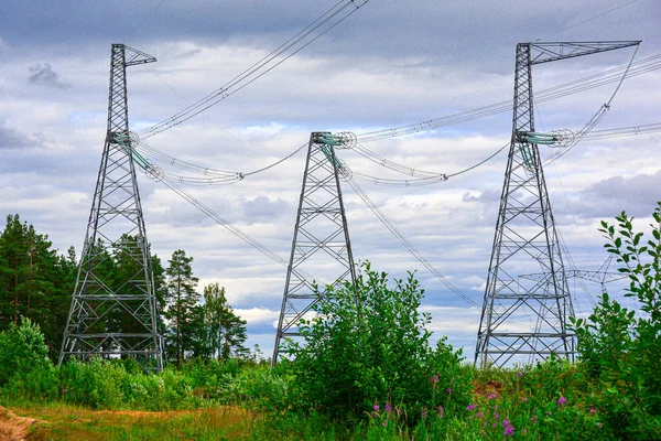 Γραμμές Μεταφοράς Ηλεκτρικής Ενέργειας Πάνω Από Δέντρα Γραμμή Υψηλής Τάσης — Φωτογραφία Αρχείου