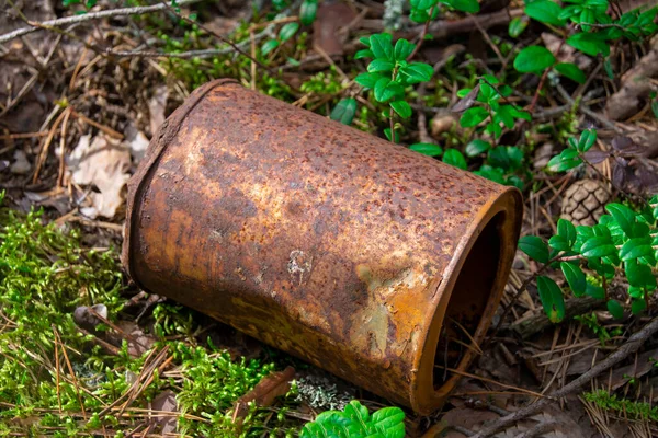 A rusty tin can lies in the grass in the forest. Close-up. The concept of ecology and nature conservation.