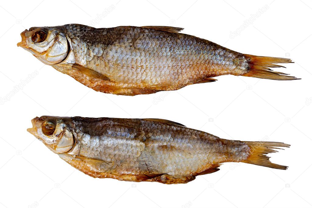 Dried roach isolated on a white background. Two fish conservation and preservation.