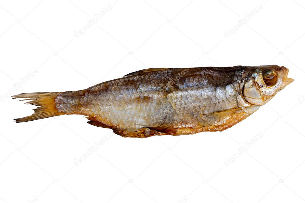 Dried roach isolated on a white background. Dried fish, preservation and preservation.