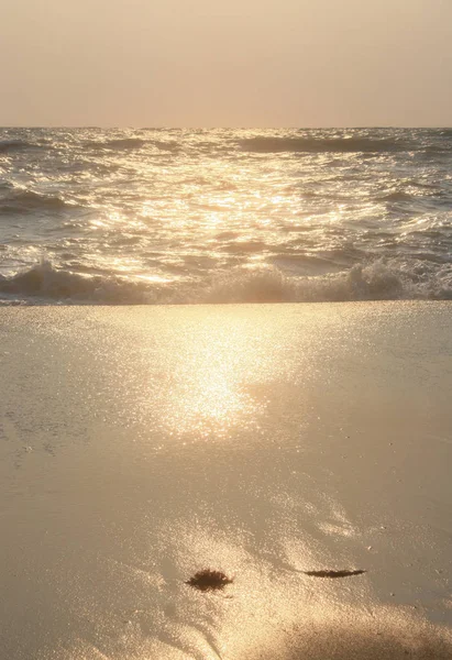 Sea waves and sand. Sunset and evening sun. Summer