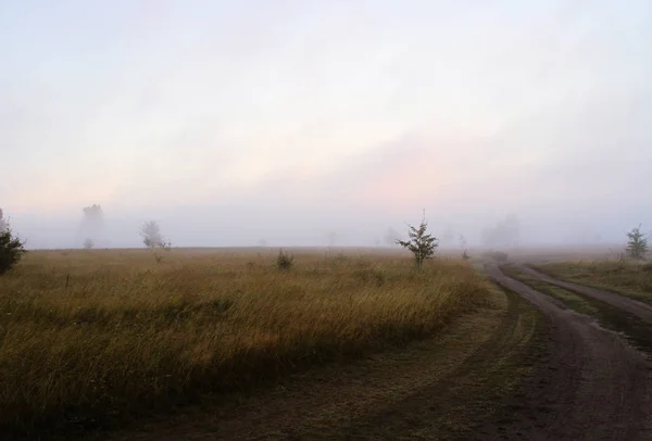 Morgennebel Auf Dem Feld Autostraße Grünes Gras Und Bäume — Stockfoto