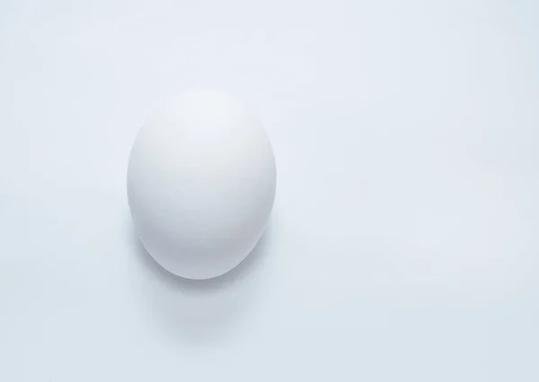 Huevo Pollo Sobre Fondo Gris — Foto de Stock