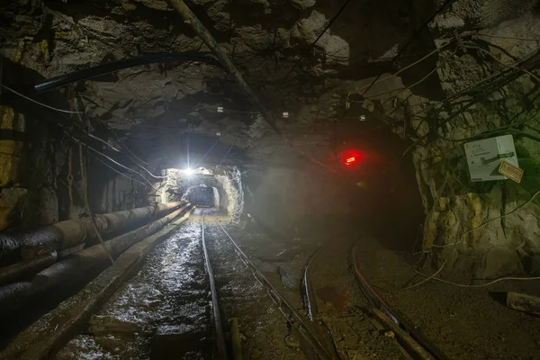 Gold ore mine tunnel with railsd