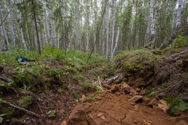 Ormanda kürekle eski bir niobium madeni kazıyorum.