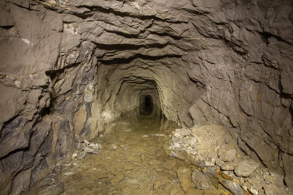 Złoto Kopalni Rudy Wał Tunelu Dryf Podziemne Wodą — Zdjęcie stockowe