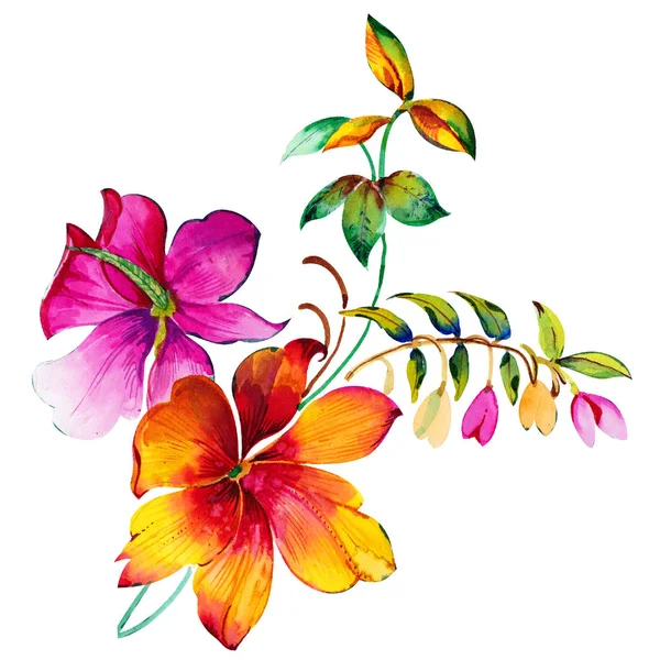 Arte Flores Color Tinta Mano — Foto de Stock