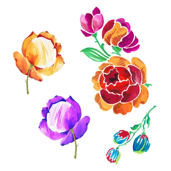 Hand Ink Color Flower Art — Stock Photo, Image