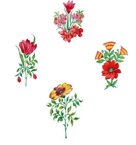 Vacker Akvarell Blomma Set — Stockfoto