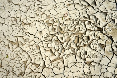 Kurumuş gri arazi tam çerçeve, toprak dokusu                 