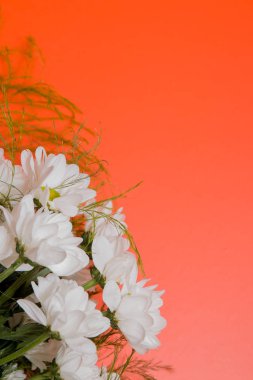 turuncu bir arka plan üst görünüm kopya alanı beyaz krizantem buketi