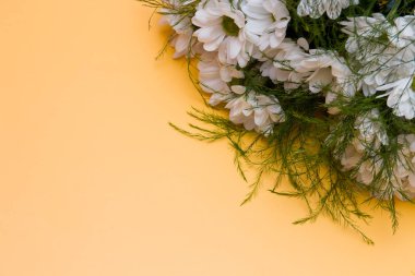 sarı bir arka plan üst görünüm kopya alanı beyaz krizantem buketi