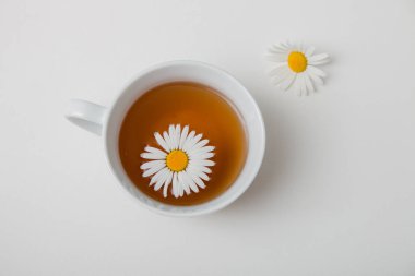beyaz bir arka plan izolasyon üst görünüm yer kopya chamomiles üzerinde bir fincan çay papatya