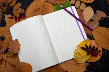 kuru auturm yaprak sarı renkler kırmızı turuncu doğa b;ack arka plan üst görünüm kopya alanı yapılacaklar listesi üzerinde boş defter leylak kalem ve mavi kalem
