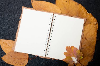 kuru auturm yapraklar üzerinde boş defter sarı renkler kırmızı turuncu doğa b;ack arka plan üst görünüm kopya alanı yapılacaklar listesi