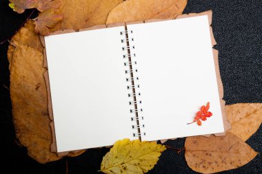 kuru auturm yapraklar üzerinde boş defter sarı renkler kırmızı turuncu doğa b;ack arka plan üst görünüm kopya alanı yapılacaklar listesi