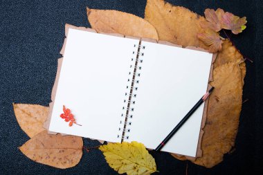 sarı sonbahar üzerine çizim ve yazma için beyaz boş defter eskiz defteri siyah arka plan yer kopya üst görünümü bırakır