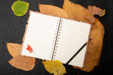 sarı sonbahar üzerine çizim ve yazma için beyaz boş defter eskiz defteri siyah arka plan yer kopya üst görünümü bırakır