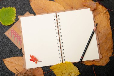 sarı sonbahar üzerine çizim ve yazma için beyaz boş defter eskiz defteri siyah arka plan yer kopya üst görünümü bırakır