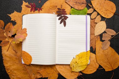 kuru auturm yapraklar üzerinde boş defter sarı renkler kırmızı turuncu doğa b;ack arka plan üst görünüm kopya alanı