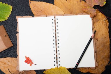siyah bir arka plan üzerinde temiz bir defter fry auturm yapraklar üzerinde kalem