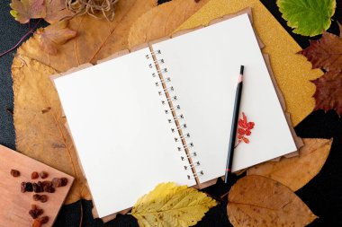 temiz bir dizüstü kuru auturm üzerinde kalem siyah bir arka plan kopya alanı üst görünümü üzerinde yaprakları