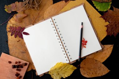 temiz bir dizüstü kuru auturm üzerinde kalem siyah bir arka plan kopya alanı üst görünümü üzerinde yaprakları