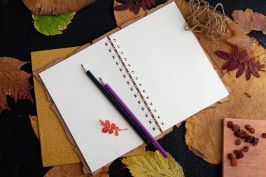 not defteri ip etiket kuru üzüm tatil hediye listesi bir dizüstü siyah arka plan üst görünüm yer kopya kuru auturm yaprakları yazma temiz bir levha üzerinde renkli kalemler