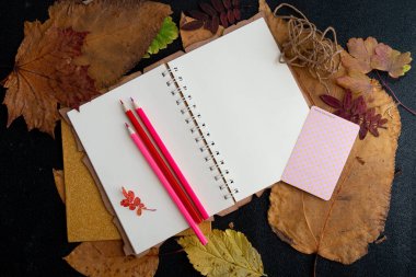 kuru auturm yapraklar ve pembe renkli kalemler not defteri ip etiket kuru üzüm tatil hediye listesi bir defter siyah arka plan üst görünüm yer kopya kuru auturm yaprakları yazma temiz bir levha üzerinde