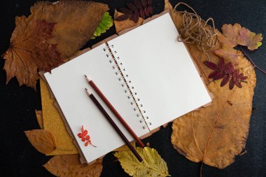 kuru auturm yapraklar ve kahverengi renkli kalemler not defteri ip etiket kuru üzüm tatil hediye listesi bir defter siyah arka plan üst görünüm yer kopya kuru auturm yaprakları yazma temiz bir levha üzerinde