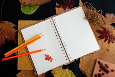 not defteri ip etiket kuru üzüm tatil hediye listesi bir dizüstü siyah arka plan üst görünüm yer kopya kuru auturm yaprakları yazma temiz bir levha üzerinde renkli kalemler