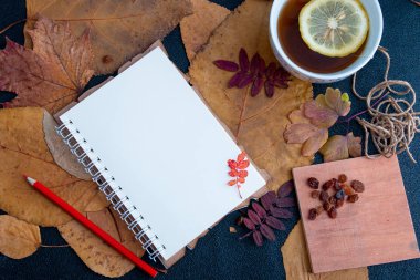 kafeste okunabilir çarşaflar ile açık bir defter üzerinde kırmızı kalem. kuru sonbahar nesneleri bir dizüstü scetch kitap çay ve limon kuru üzüm bir dilim ile bir fincan bırakır