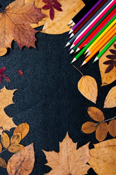 Сухие Осенние Желтые Листья Цветные Гвоздики Черном Фоне Место Копирования — стоковое фото