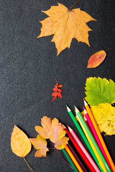 Trockener Herbst Gelbe Blätter Farbige Nelken Auf Schwarzem Hintergrund Ort — Stockfoto