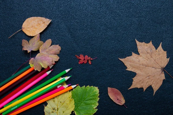 Asciutto Autunno Foglie Gialle Garofani Colorati Uno Sfondo Nero Posto — Foto Stock