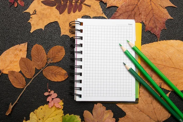 siyah backgound üst görünüm kopya alanı freen kalemler üzerinde defter renkli kalemler gry auturm yaprak