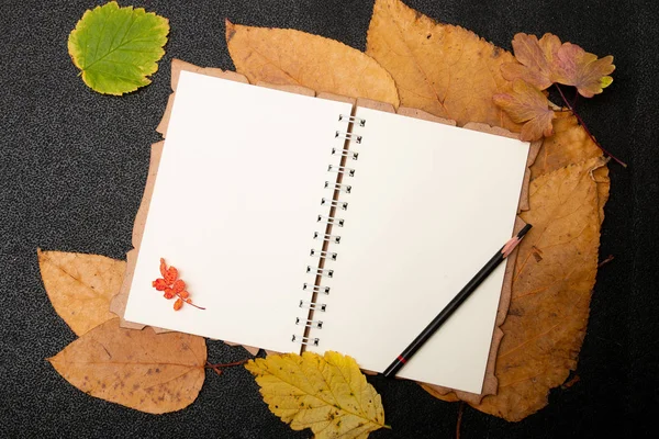 sarı sonbahar üzerine çizim ve yazma için beyaz boş defter eskiz defteri siyah arka plan yer kopya üst görünümü bırakır