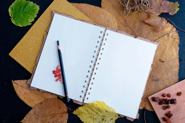 temiz bir dizüstü kuru auturm üzerinde kalem siyah bir arka plan kopya alanı üst görünümü üzerinde yaprakları