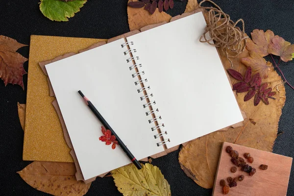 temiz bir dizüstü kuru auturm üzerinde kalem siyah bir arka plan kopya alanı üst görünümü üzerinde yaprakları