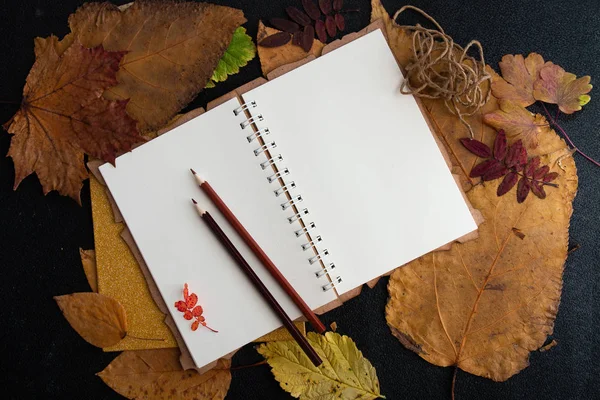 kuru auturm yapraklar ve kahverengi renkli kalemler not defteri ip etiket kuru üzüm tatil hediye listesi bir defter siyah arka plan üst görünüm yer kopya kuru auturm yaprakları yazma temiz bir levha üzerinde