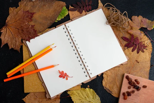 not defteri ip etiket kuru üzüm tatil hediye listesi bir dizüstü siyah arka plan üst görünüm yer kopya kuru auturm yaprakları yazma temiz bir levha üzerinde renkli kalemler