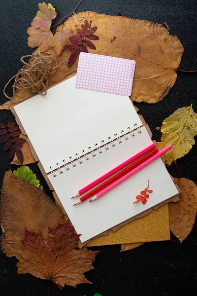 dry auturm leafs and pink colored pencils on a clean sheet of notepad rope sticker raisins holiday gift list writing in a notebook black background top view place copy dry auturm leaves